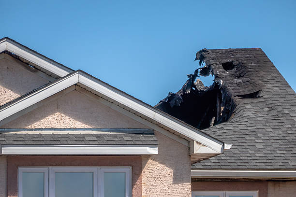 Top rated local Fire Damage Removal specialists in Bay Pines, FL